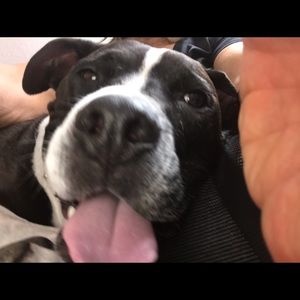 Meet your Posher, Andrea